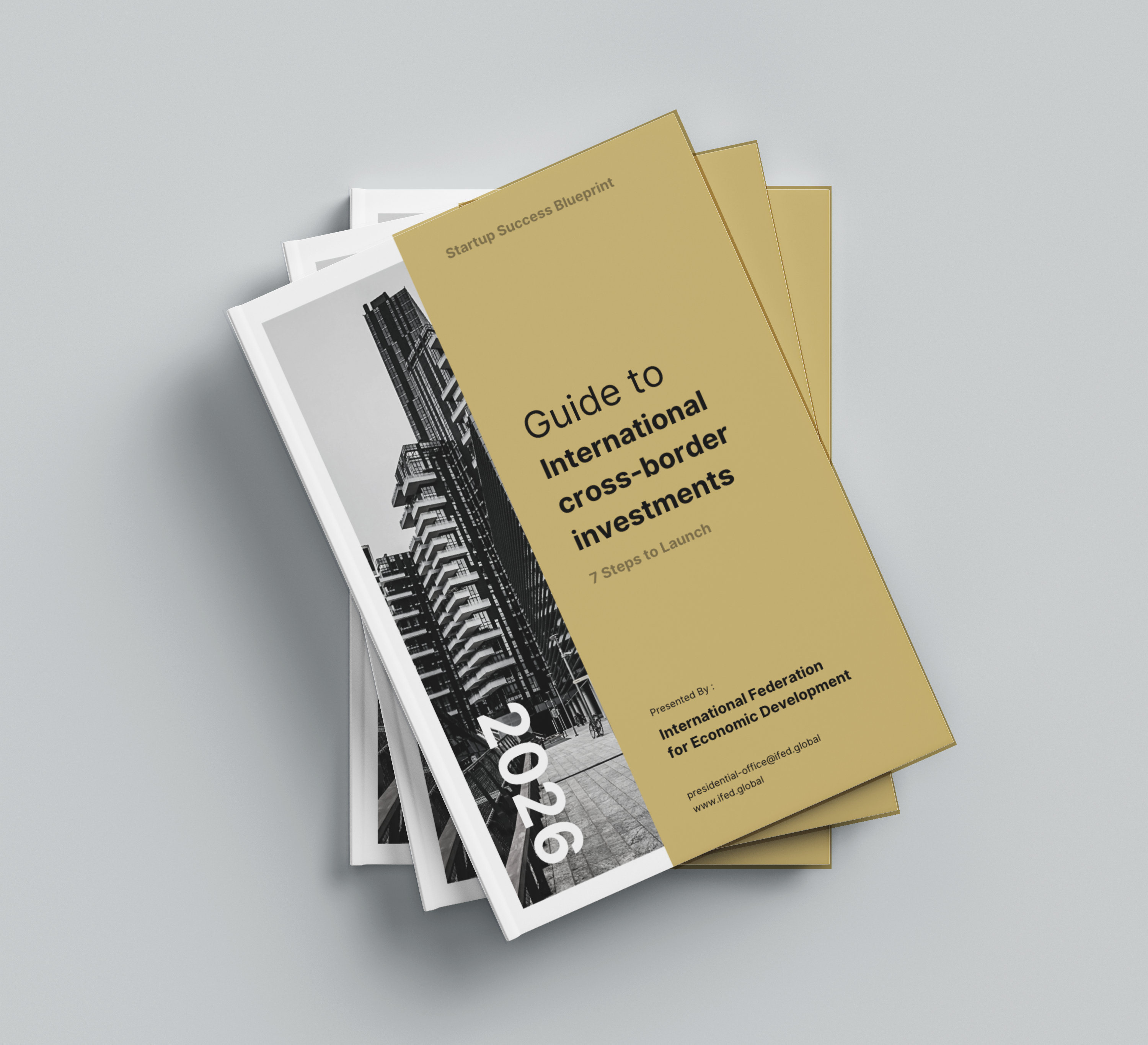 Startup Success Blueprint: Guide to international cross-border investments — book cover